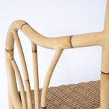 SANTAI Alu-Cane Dining Chair