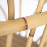 SANTAI Alu-Cane Dining Chair