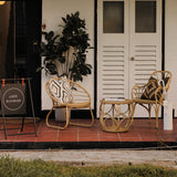 SANTAI Alu-Cane Dining Chair