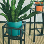 Modern black rattan planter featuring a sturdy frame and natural texture, perfect for housing your favorite plants. Designed with simplicity in mind, it adds a touch of warmth and elegance to any space. Created with eco-friendly materials, this piece blends sustainability with style. Designed in Singapore.