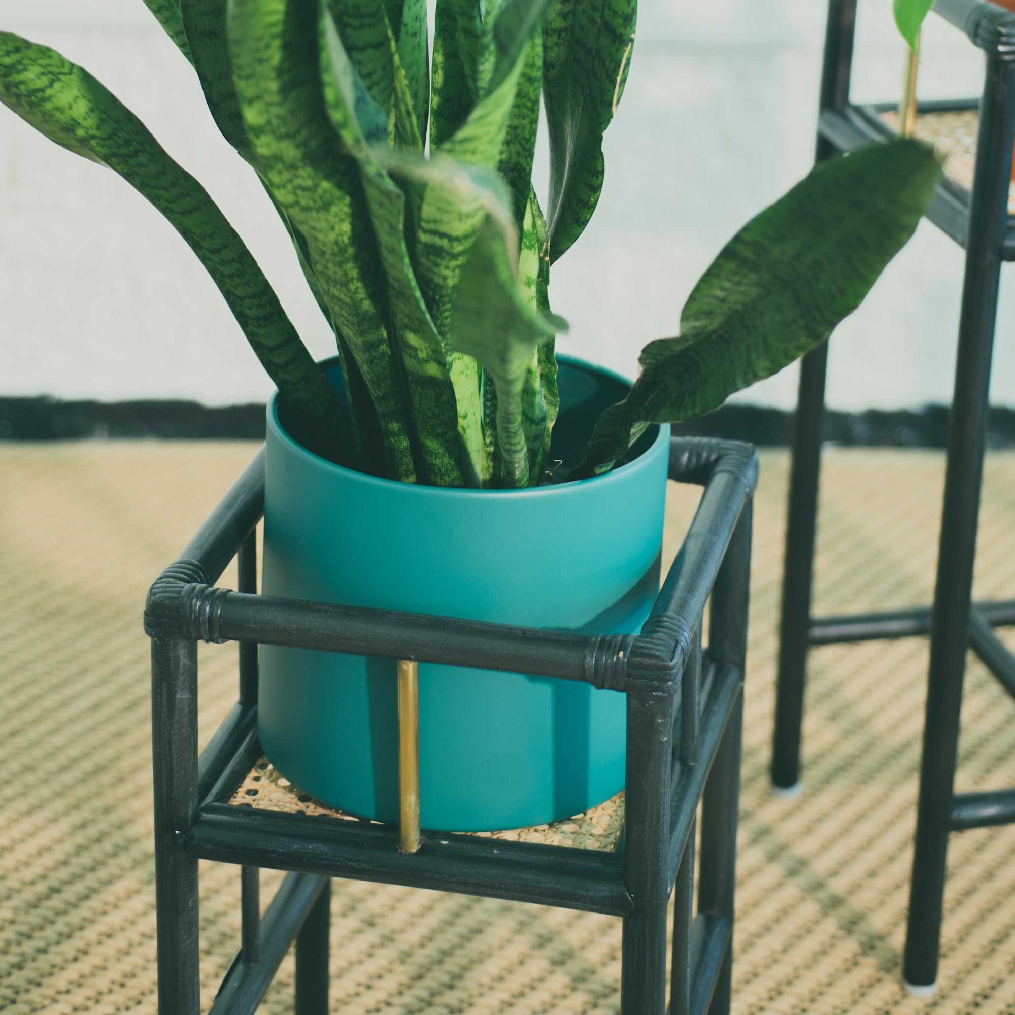 Modern black rattan planter featuring a sturdy frame and natural texture, perfect for housing your favorite plants. Designed with simplicity in mind, it adds a touch of warmth and elegance to any space. Created with eco-friendly materials, this piece blends sustainability with style. Designed in Singapore.