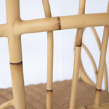 SANTAI Alu-Cane Dining Chair
