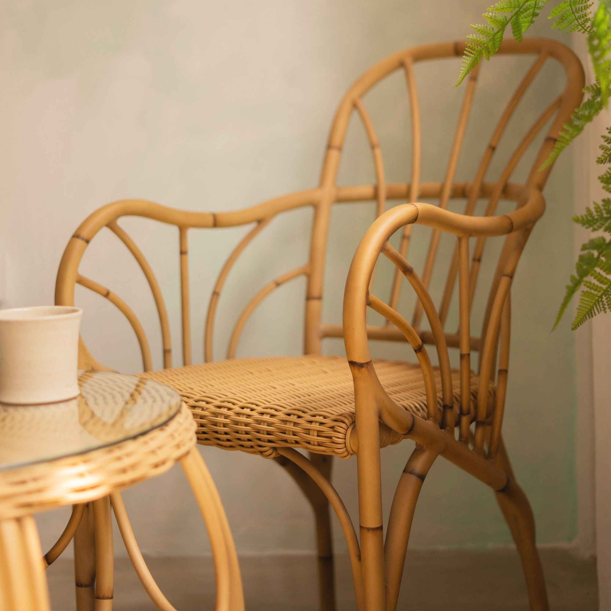 SANTAI Alu-Cane Dining Chair